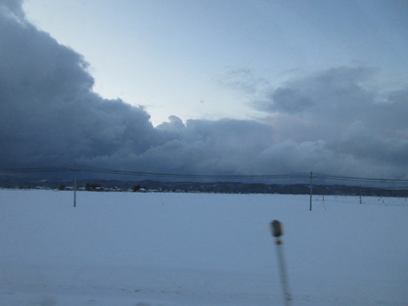 a0203003_17323428.jpg