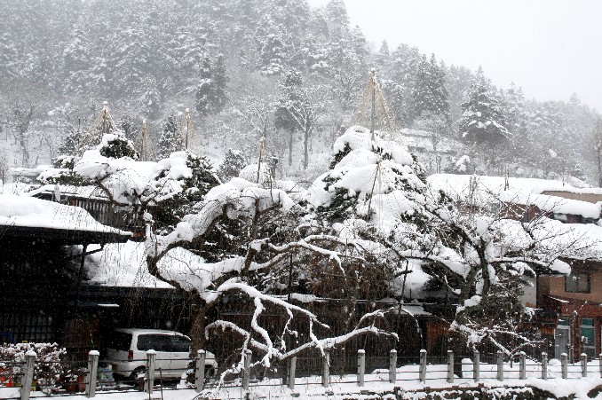 　飛騨高山は雪の中_d0140806_12534177.jpg