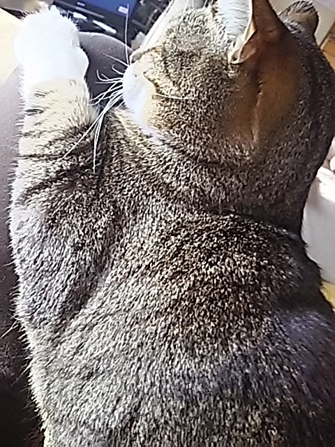 まったりとぼんやり_f0316507_13484886.jpg