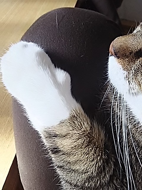まったりとぼんやり_f0316507_13490057.jpg