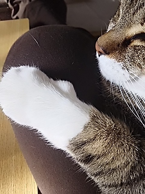 まったりとぼんやり_f0316507_13491159.jpg