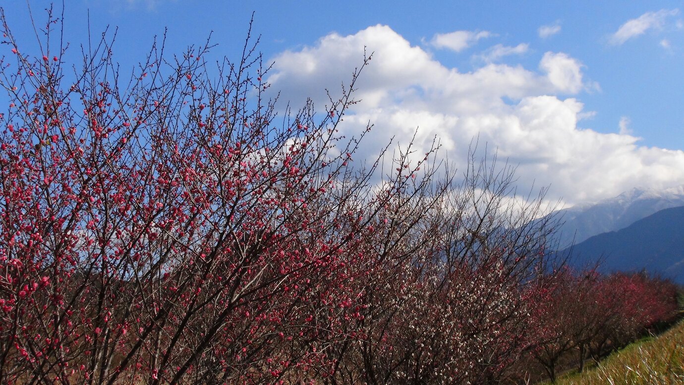 f0231709_20111897.jpg