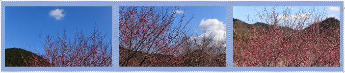f0231709_20144568.png