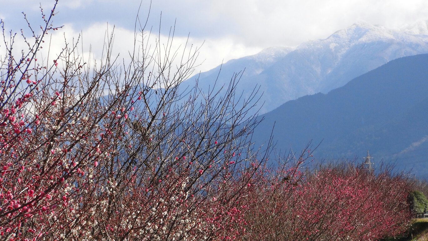 f0231709_20154519.jpg