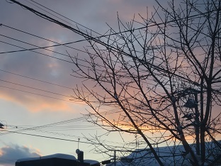 f0325309_16510974.jpg