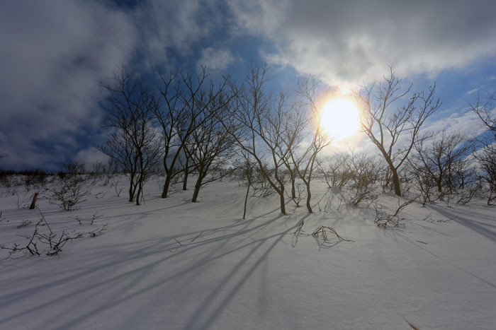 伊吹山へ修行に(^-^;_e0077010_22053846.jpg