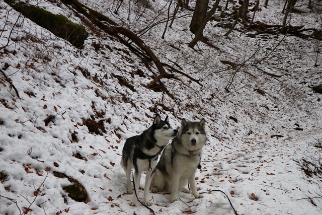 b0207615_20485540.jpg