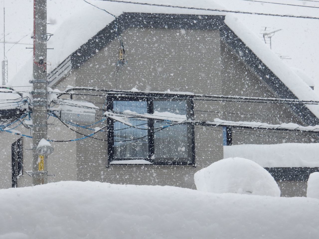 寒さの次は雪_c0025115_20420245.jpg