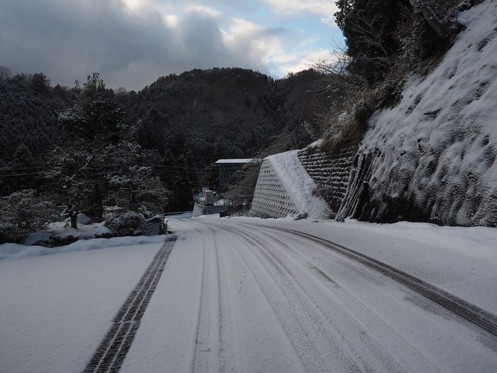 今朝も雪景色_c0116915_225161.jpg