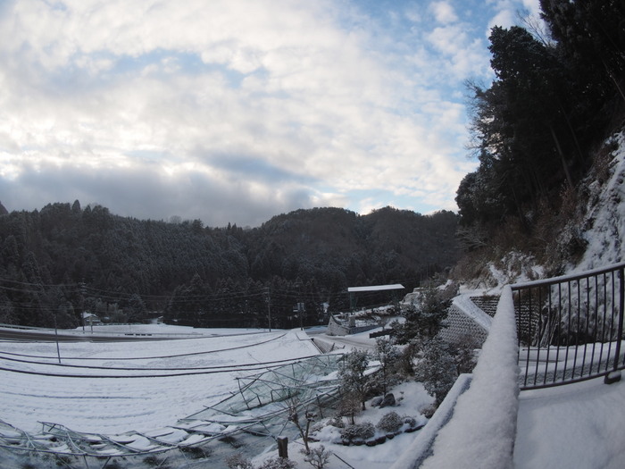 ２階からの雪景色_c0116915_227576.jpg
