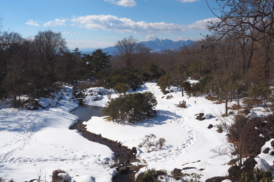 赤城自然園特別開園日。快晴無風の願っても無いお天気に恵まれた♪_a0031821_12271255.jpg