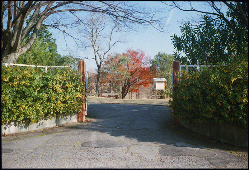 c0176622_13254148.jpg