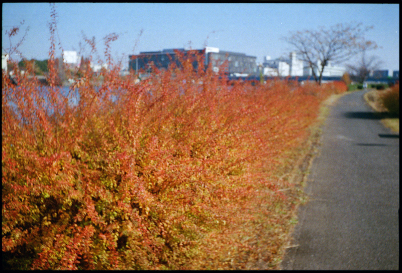 c0176622_13272134.jpg