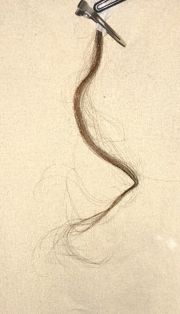c0109726_1363189.jpg