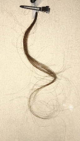 c0109726_137485.jpg