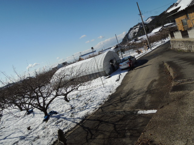 b0134233_1628578.jpg