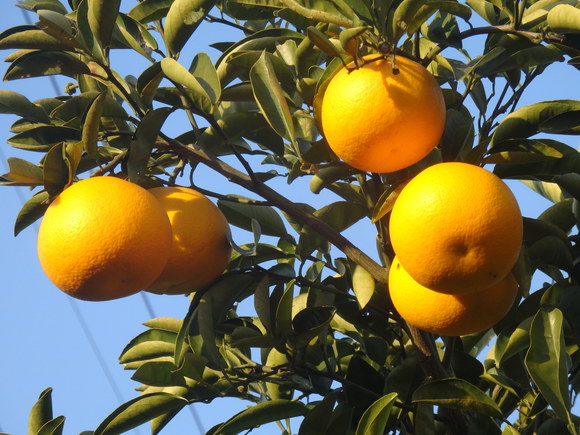 a0054240_20434128.jpg