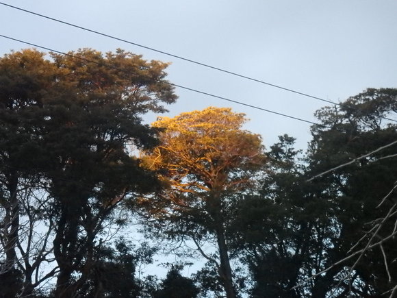 a0054240_20473336.jpg
