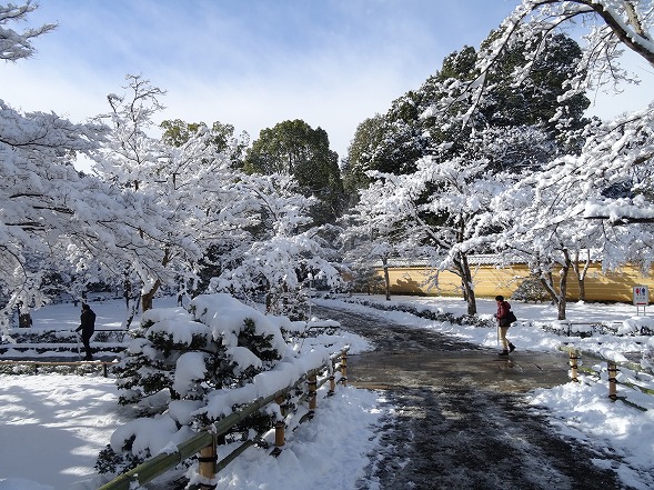 京都の雪景色_b0299042_052998.jpg