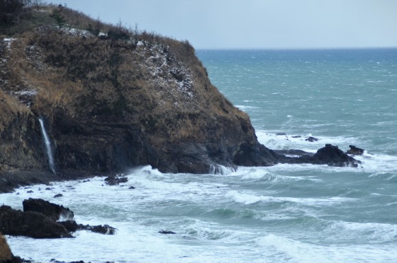 c0202242_11370331.jpg