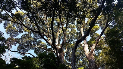 e0319042_08335720.jpg