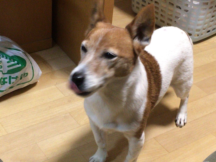 a0314846_9405253.jpg
