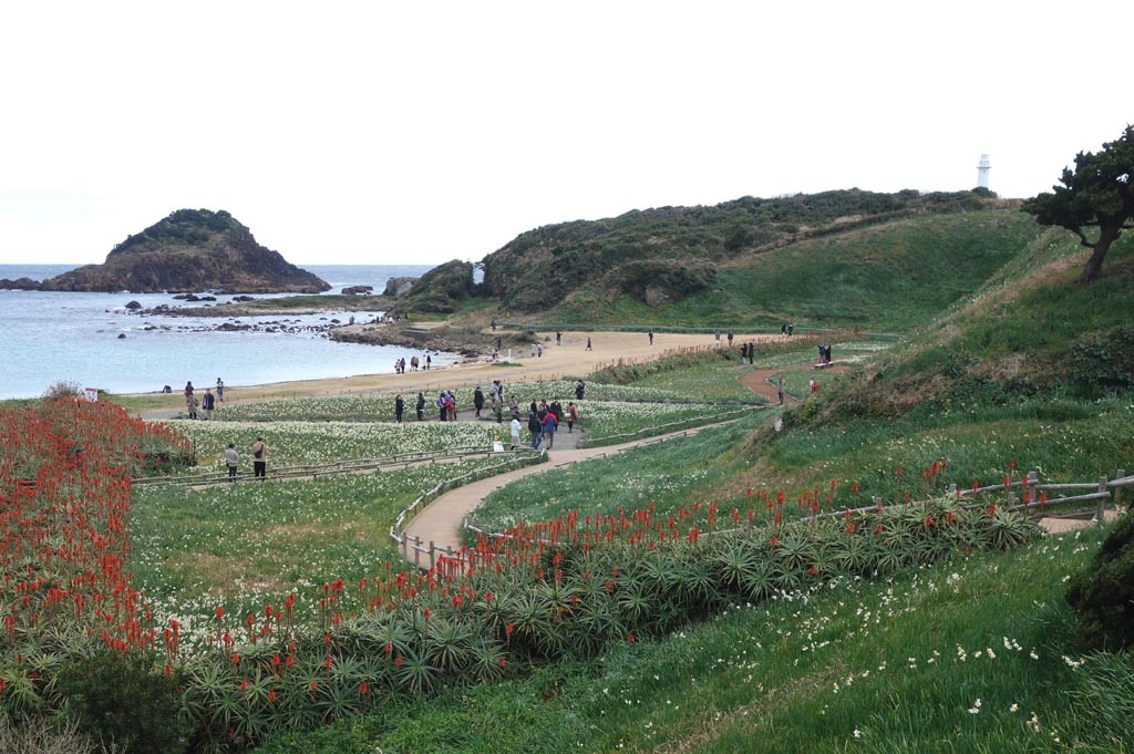 b0325549_21215591.jpg