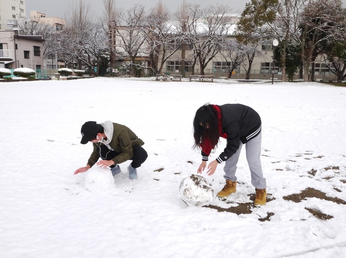 　　三年ぶりの雪便り　（下）　 _b0093754_22585242.jpg