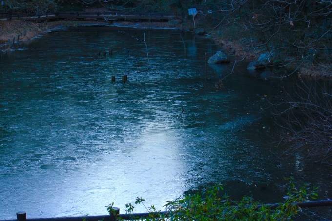 a0248459_15245418.jpg