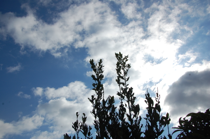 c0108460_17244415.jpg