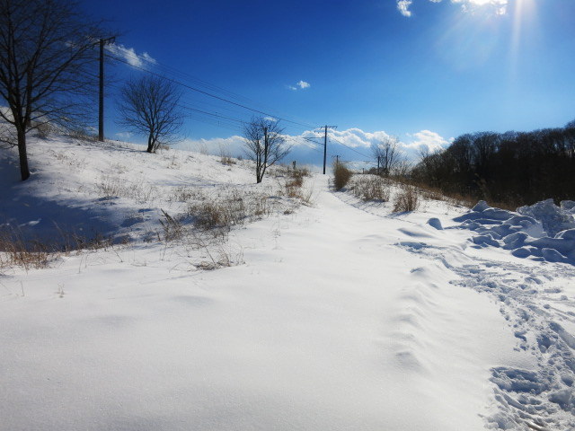 f0236260_01174789.jpg