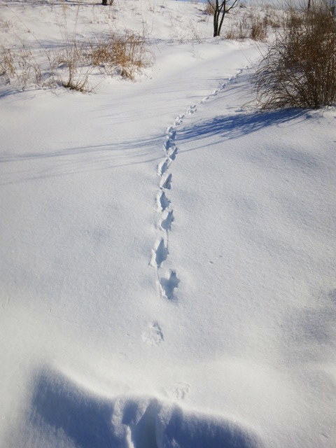 f0236260_01181473.jpg