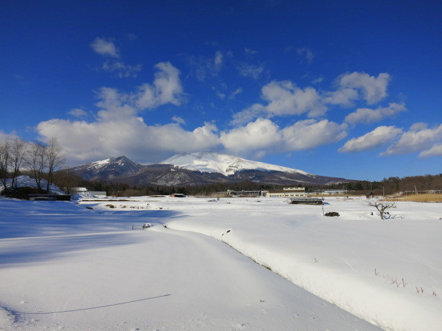 f0236260_19180652.jpg