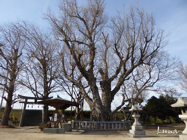 c0222861_2205389.jpg
