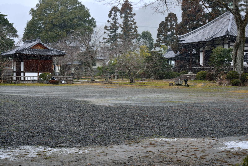 雪を求めて！ー其の二_a0341170_16131040.jpg