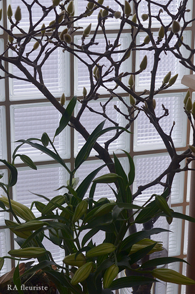 ご還暦祝いに ｒｉｅｋｏ ａｎｄｏ Ra Fleuriste Blog