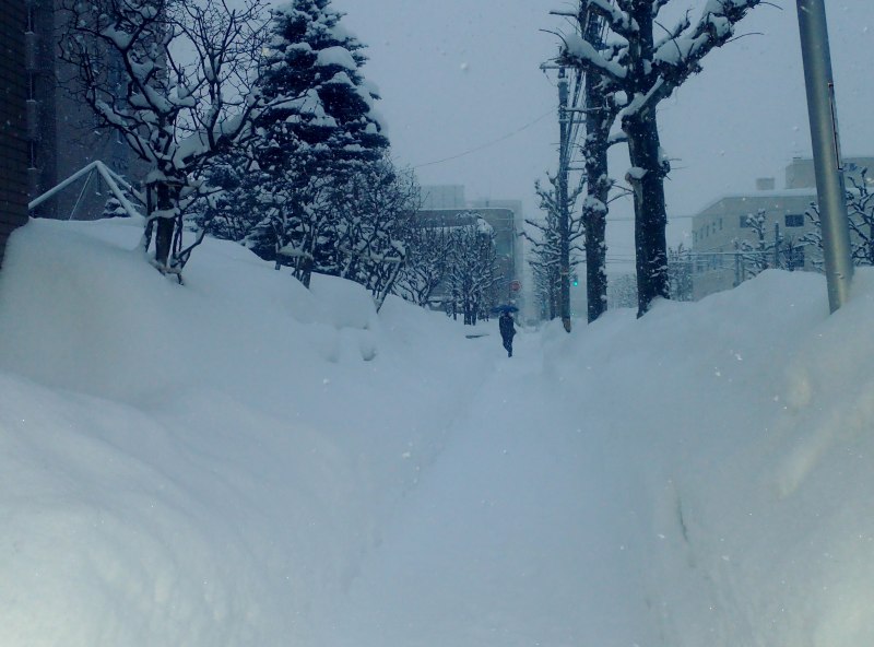 札幌　再び降雪10cm　積雪深９０ｃｍ台に戻る　０１２５_c0183777_843249.jpg