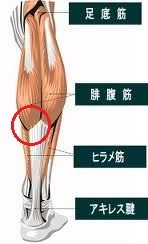 シーズン終了の危機!?_f0310282_19123054.jpg