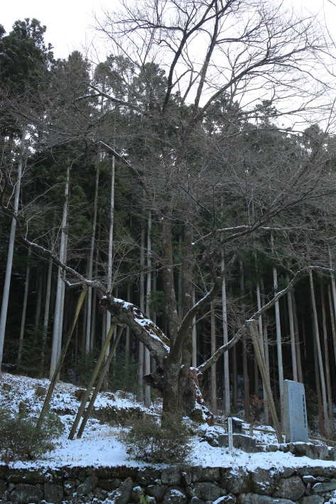 c0358784_12111801.jpg