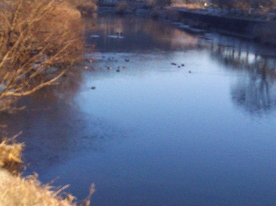 c0313086_09064653.jpg
