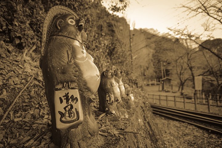 狸が見守る秘境駅 (写真部門)_d0353489_12164312.jpg