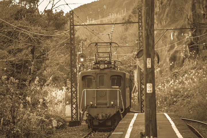 狸が見守る秘境駅 (写真部門)_d0353489_12224036.jpg