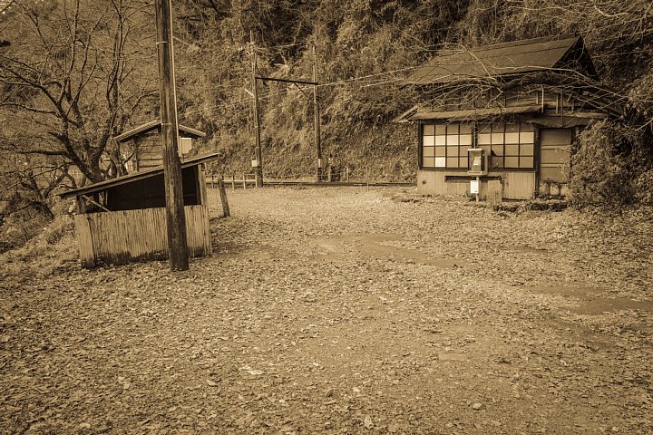 狸が見守る秘境駅 (写真部門)_d0353489_1223335.jpg