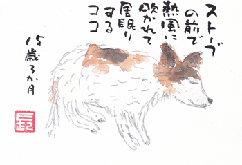 a0030594_23172421.gif