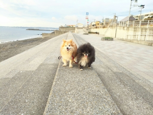 c0128896_03551275.jpg