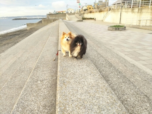 c0128896_03554810.jpg