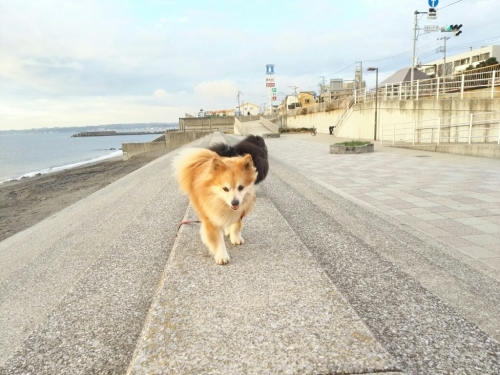 c0128896_03564749.jpg