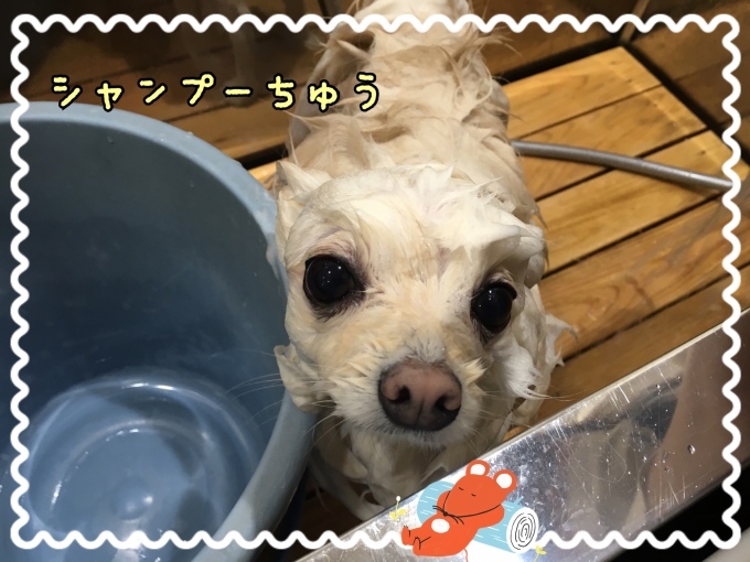 d0269898_18132521.jpeg