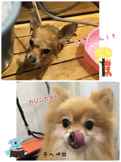 d0269898_18134471.jpeg