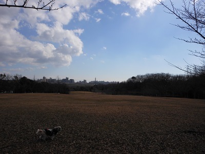 f0372998_22131983.jpg